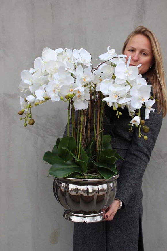 Srebrna Weranda, elegancki storczyk w wazonie Glamour, wys.74cm