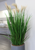 Madeira Grande, wieczne trawy w szarej donicy fiberglass, wym.190cm 