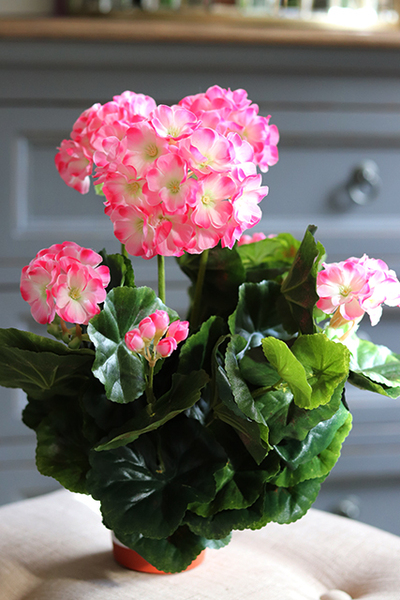 doniczkowa pelargonia Różowa, wysokiej jakości sztuczne kwiaty, wys.36cm