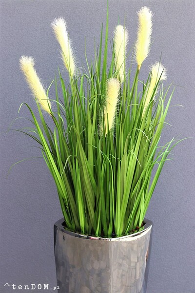 elegancka trawa w lustrzanej donicy, Silver Luck, wys.150cm 