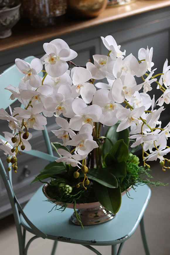 storczyk w szampańskiej donicy, Różowa Kraina, wys.61cm 