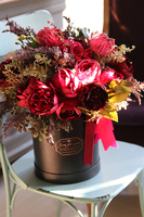 Delona Amanita, flowerbox w intensywnych barwach, wys.50cm