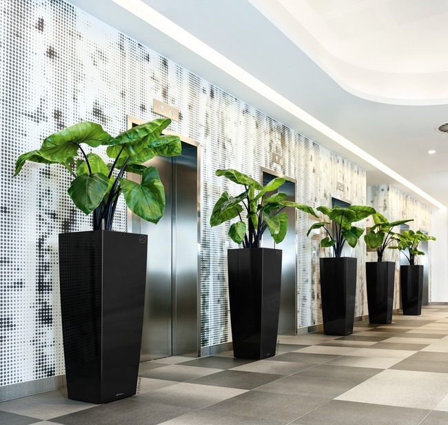 Cubico Alto Premium, elegancka donica z nawadnianiem, czarna, wys.105cm