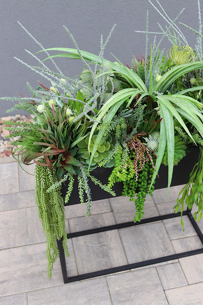 Asia Modern Resato, sukulenty w donicy na stojaku, wys.95x77x40cm