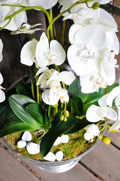 ogromny storczyk w aluminiowej donicy Kielich wys. ok.100cm