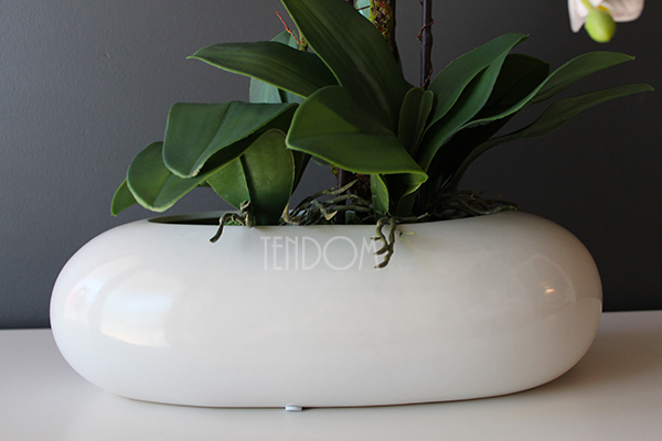 Nuria gumowy storczyk w owalnej donicy, wys.55cm