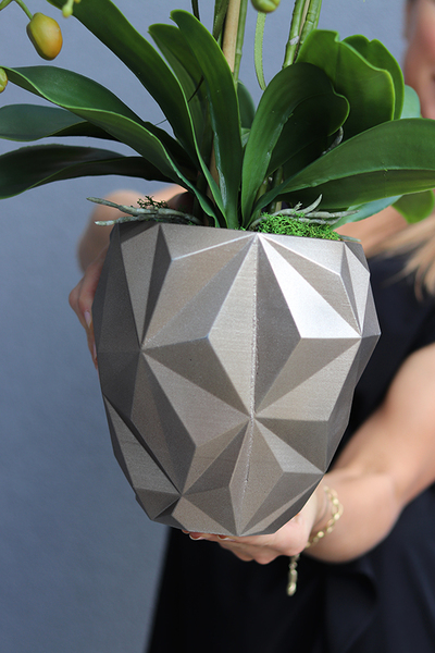 Design Toupe, efektowny storczyk w nowoczesnej donicy, wys.73cm