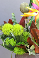 egzotyczna kompozycja ze strelicją, Modenata, wys.65cm 