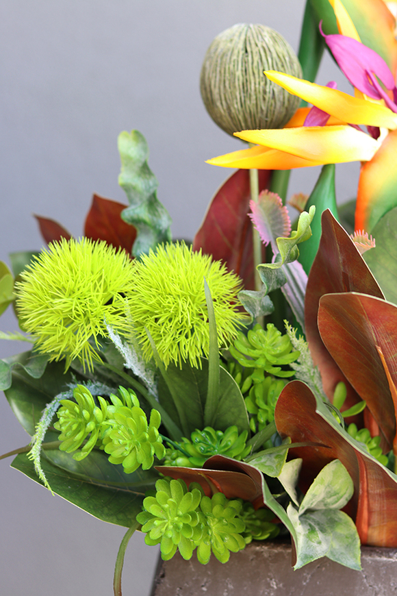 egzotyczna kompozycja ze strelicją, Modenata, wys.65cm 