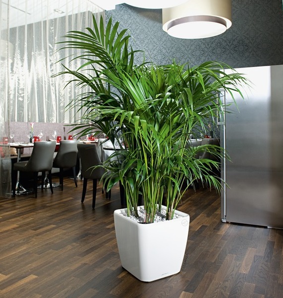 Quadro, elegancka donica z nawadnianiem, biała, wym.33x35cm