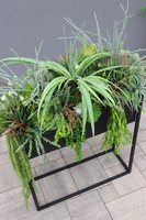 Asia Modern Resato, sukulenty w donicy na stojaku, wys.95x77x40cm