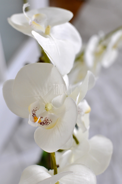 sztuczny storczyk w białej donicy White, wys.72cm 