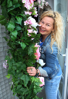 Princessa XXL, ekskluzywna girlanda jednostronna, dł.3m