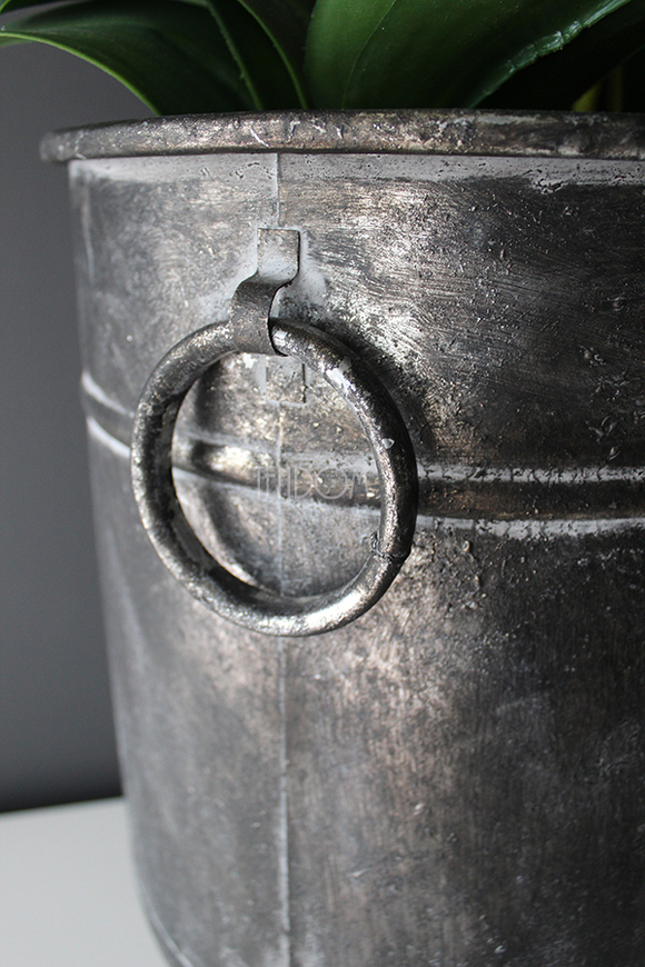 bardzo duży storczyk Grigio Grande, wys.118cm