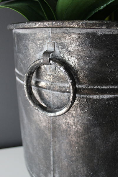 bardzo duży storczyk Grigio Grande, wys.118cm