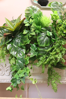 GreenViet, egzotyczna kompozycja roślinna, 1m bieżący