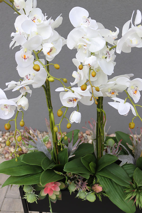 Asia Modern Resato, storczyk i sukulenty w donicy na stojaku, wym.135x75cm