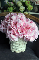 kosz różowych hortensji wys.35cm