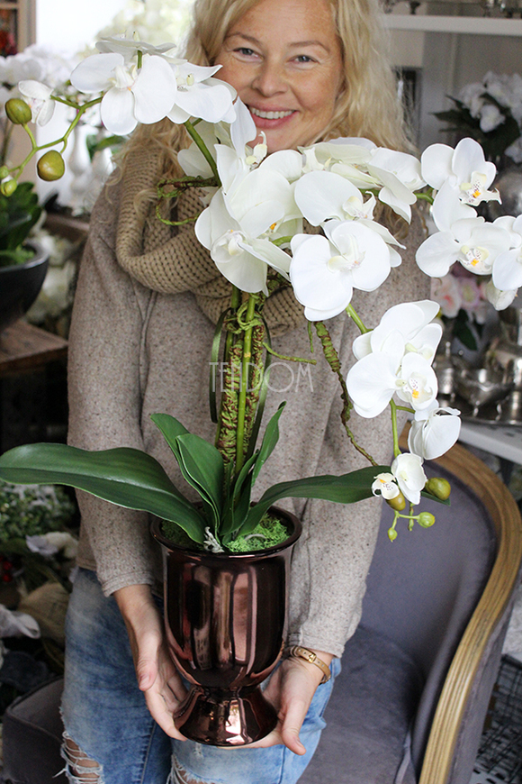 storczyk Gold II w złoto-miedzianej donicy, wys.70cm