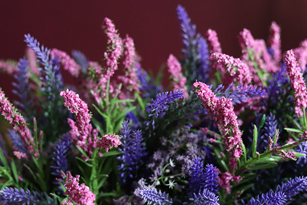 Wrzosy New, kompozycja kwiatowa w czarnej donicy, wys.21cm 