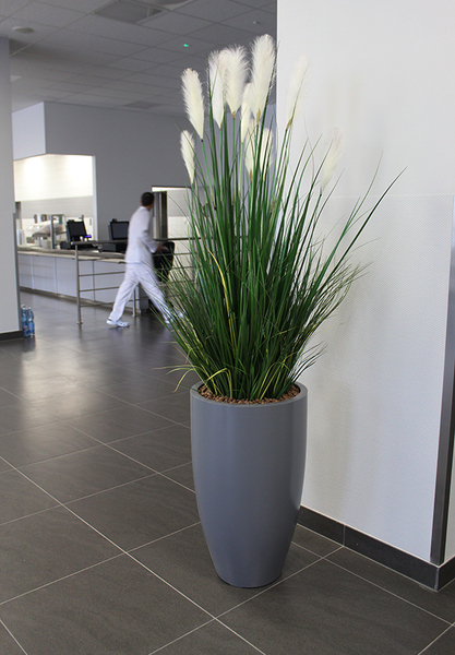 Matigio Grande, wieczne trawy w szarej donicy fiberglass, wym.195cm