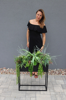 Asia Modern Resato, sukulenty w donicy na stojaku, wys.95x77x40cm