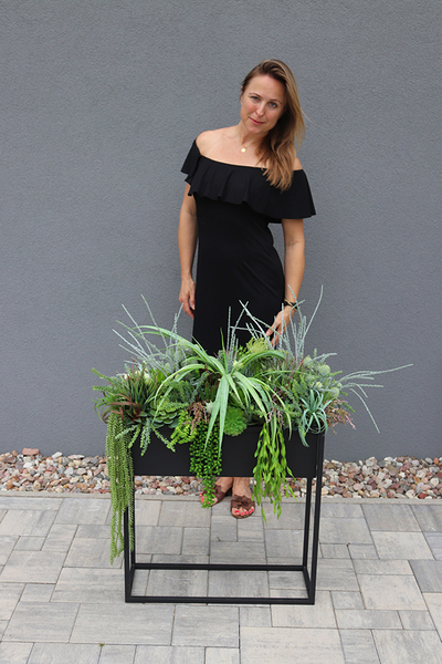 Asia Modern Resato, sukulenty w donicy na stojaku, wys.95x77x40cm 