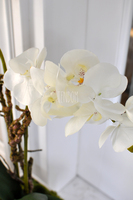 sztuczny storczyk w białej donicy White, wys.72cm 