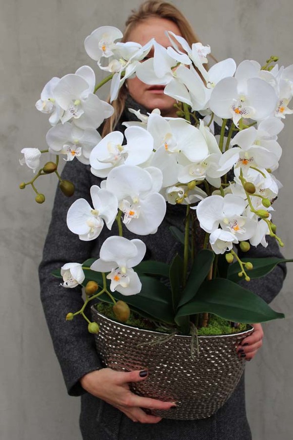 elegancki storczyk w donicy glamour, Srebrna Rezydencja, wys.72cm