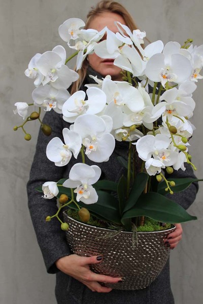 elegancki storczyk w donicy glamour, Srebrna Rezydencja, wys.72cm