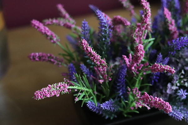 Wrzosy New, kompozycja kwiatowa w czarnej donicy, wys.21cm 