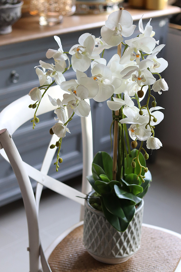 elegancki storczyk w ozdobnej donicy, Verona Moderna, wys.71cm