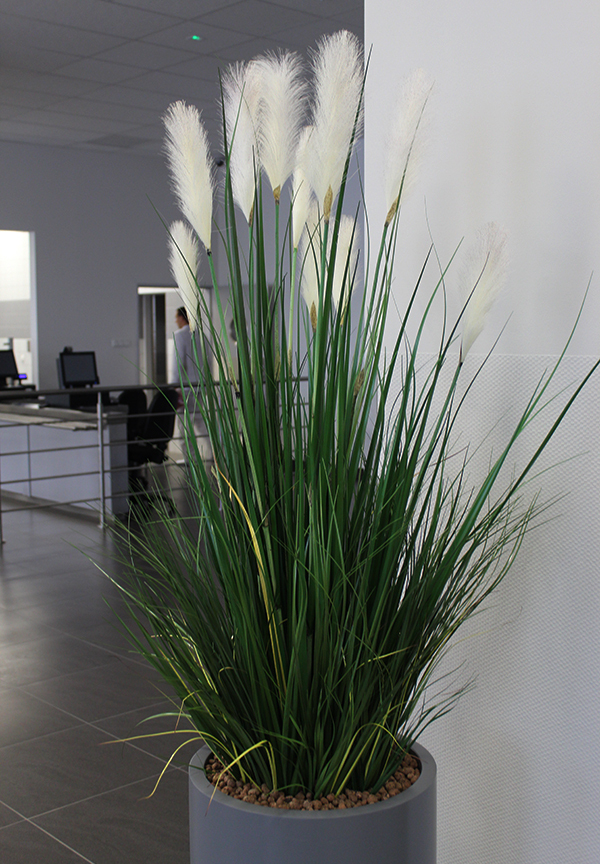 Matigio Grande, wieczne trawy w szarej donicy fiberglass, wym.195cm