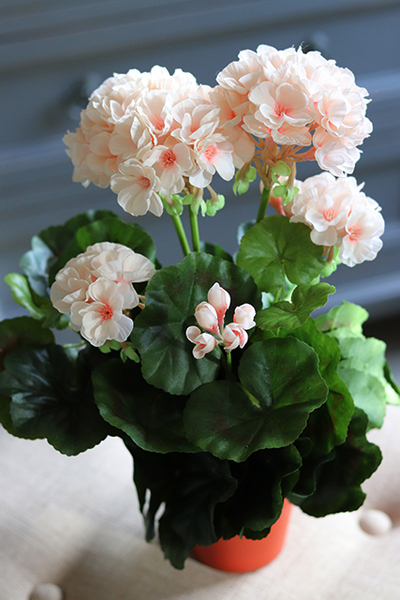doniczkowa pelargonia Kremowo-różowa, wysokiej jakości sztuczne kwiaty, wys.36cm