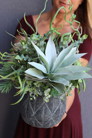 Mediterano, sukulenty, kompozycja ze sztucznych roślin, wys.46cm  