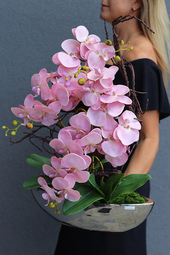 bajecznie różowy storczyk, Laos Velivia Pink, wys.70cm