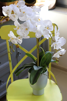 Alora Grey, sztuczny storczyk w szarej donicy, wys.65cm 