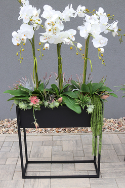 Asia Modern Resato, storczyk i sukulenty w donicy na stojaku, wym.135x75cm  