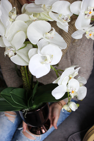 storczyk Gold II w złoto-miedzianej donicy, wys.70cm