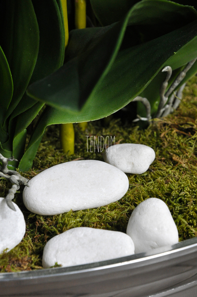 ogromny storczyk w aluminiowej donicy Kielich wys. ok.100cm