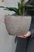 elegancki storczyk w donicy glamour, Srebrna Rezydencja, wys.72cm