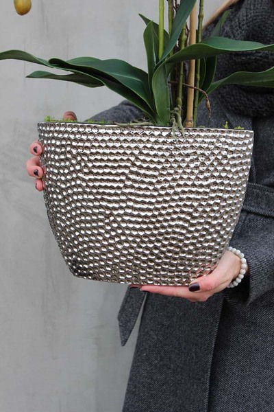 elegancki storczyk w donicy glamour, Srebrna Rezydencja, wys.72cm