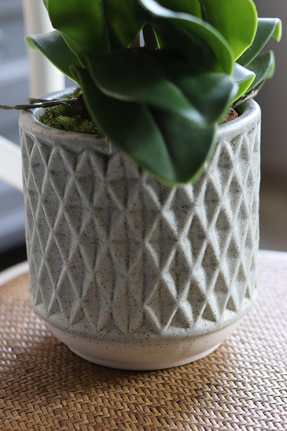 elegancki storczyk w ozdobnej donicy, Verona Moderna, wys.71cm