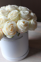 biały box z kremowymi różami, Marcello, wys.35cm