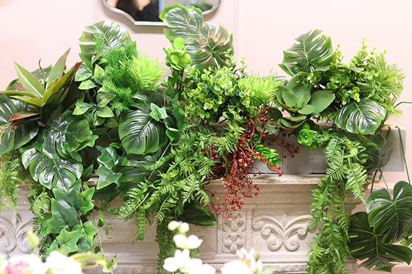 GreenViet, egzotyczna kompozycja roślinna, 1m bieżący