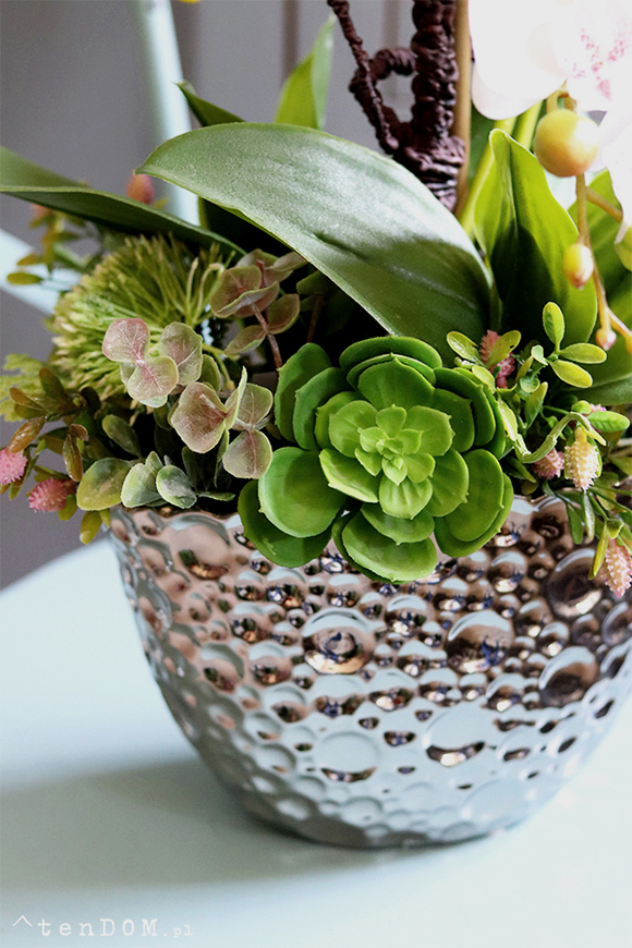 Kellano Cambra 2, biały storczyk w srebrnej donicy, wys.60cm