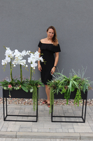 Asia Modern Resato, storczyk i sukulenty w donicy na stojaku, wym.135x75cm  