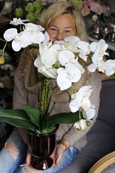 storczyk Gold II w złoto-miedzianej donicy, wys.70cm