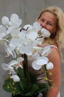 Shining Japan, elegancki storczyk w czarnej błyszczącej donicy, wys.65cm