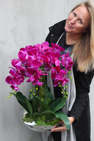 sztuczny storczyk Silver Dreams Fuksja w srebrnej, aluminiowej donicy, wys.65cm 